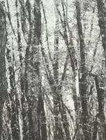 Somos uno. Somos dos. (LTD & SIGNED)