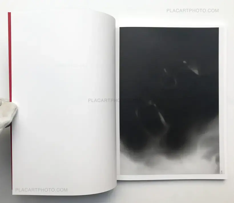 Elite controllers (SIGNED)