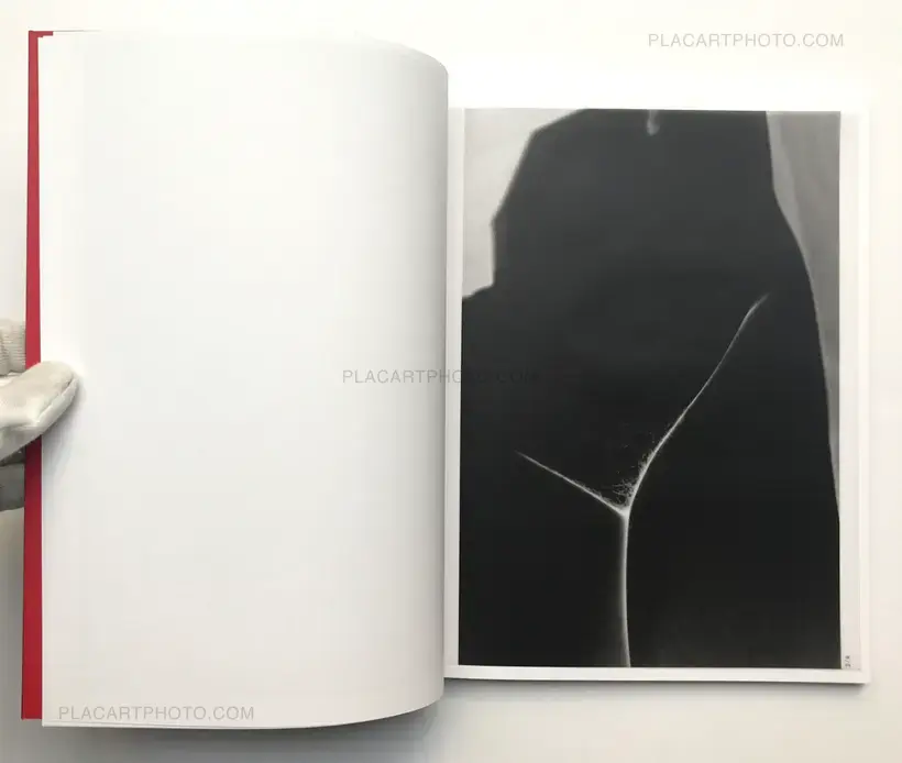 Elite controllers (SIGNED)