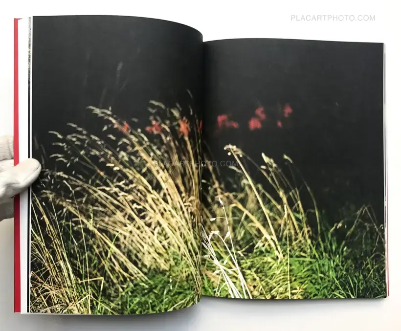 Elite controllers (SIGNED)