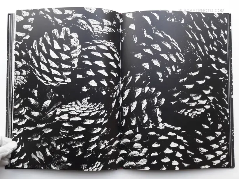 TOKYO UNTITLED (SIGNED)