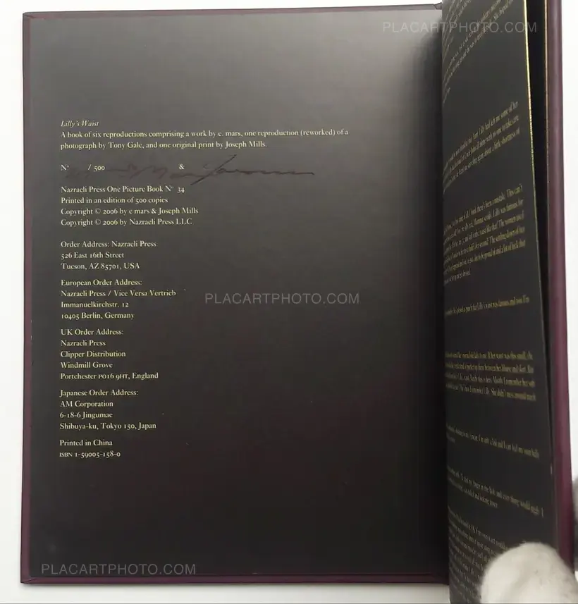 One Picture Book # 34 : Lilly's Waist