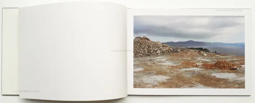 A Bird : Blast # 130