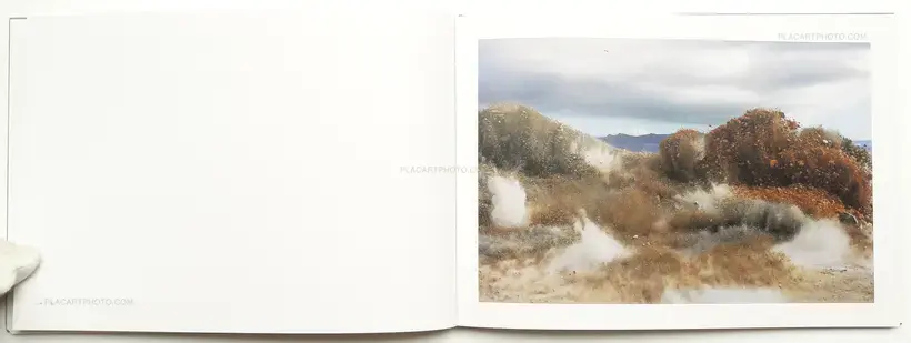 A Bird : Blast # 130