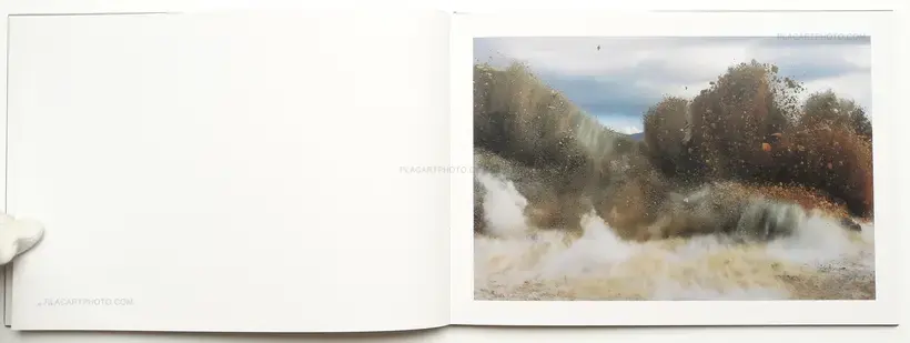 A Bird : Blast # 130