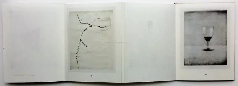 Mes jours (ONLY 100 COPIES - SIGNED)