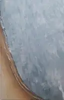 My freedom (ONLY 69 COPIES SIGNED WITH A PRINT)