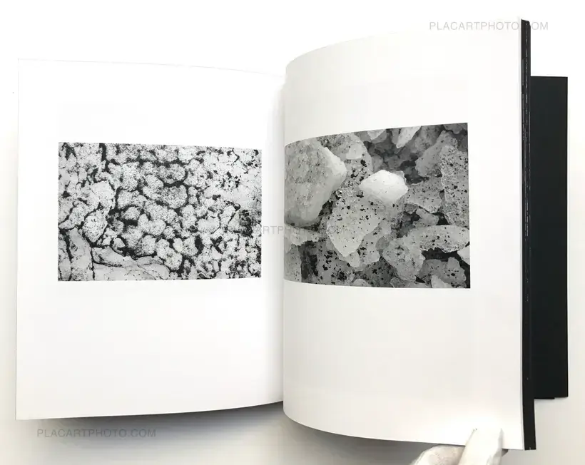 Island ( WITH PRINTS - LTD & SIGNED)