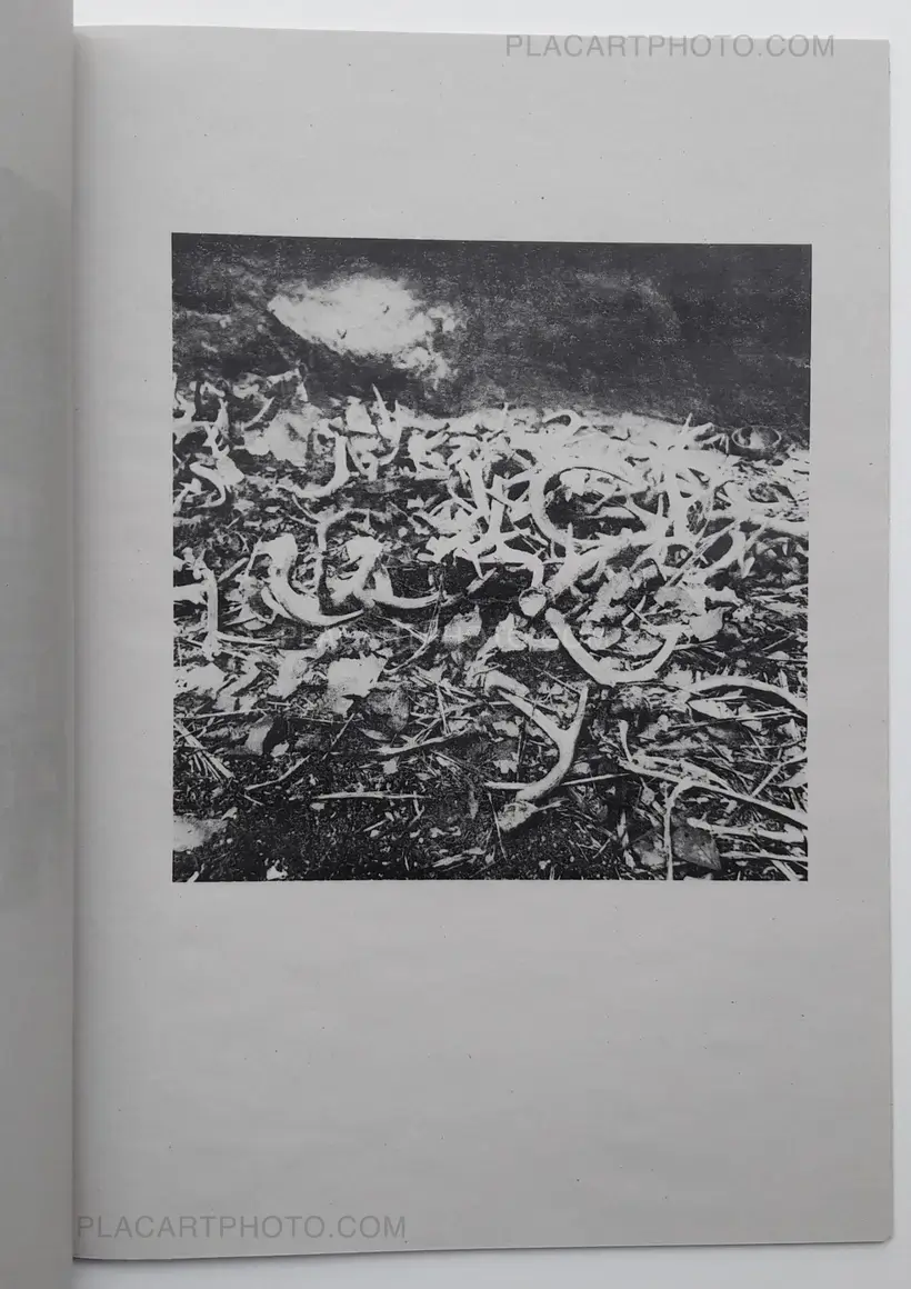 Detalles secundarios / Details secondaires (ONLY 100 COPIES - SIGNED)