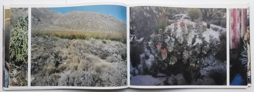 There is something in the air (SIGNED)