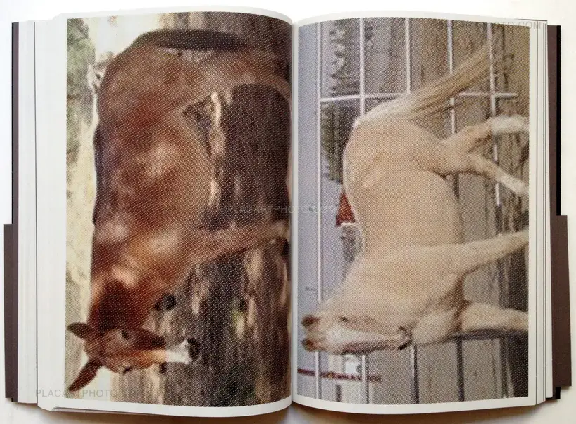 01) The Significant Savages