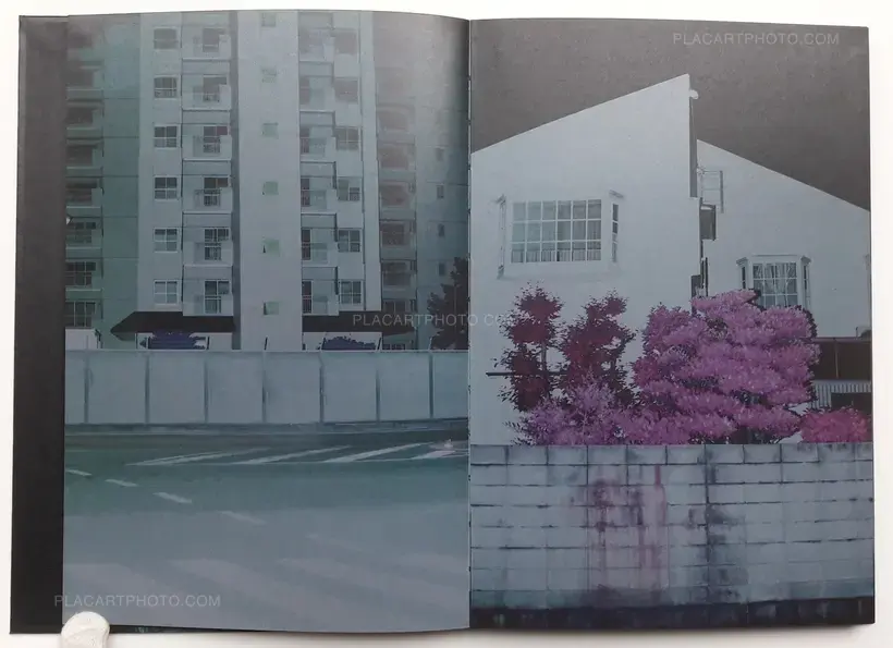 Into the light (SIGNED)