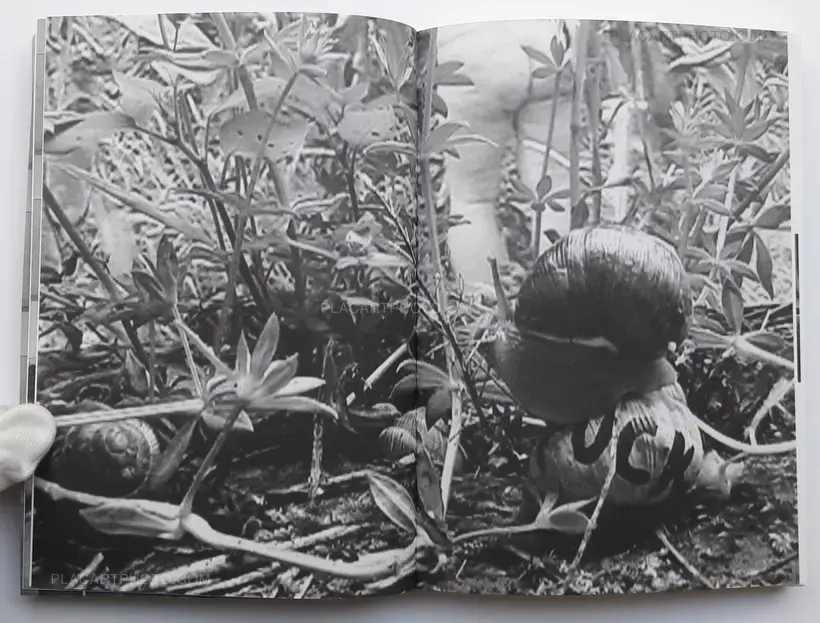 Home Video Diary (SIGNED)