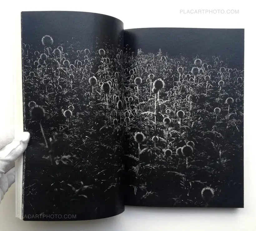 CAN’T PAY YOU TO DISAPPEAR (ONLY 200 COPIES)