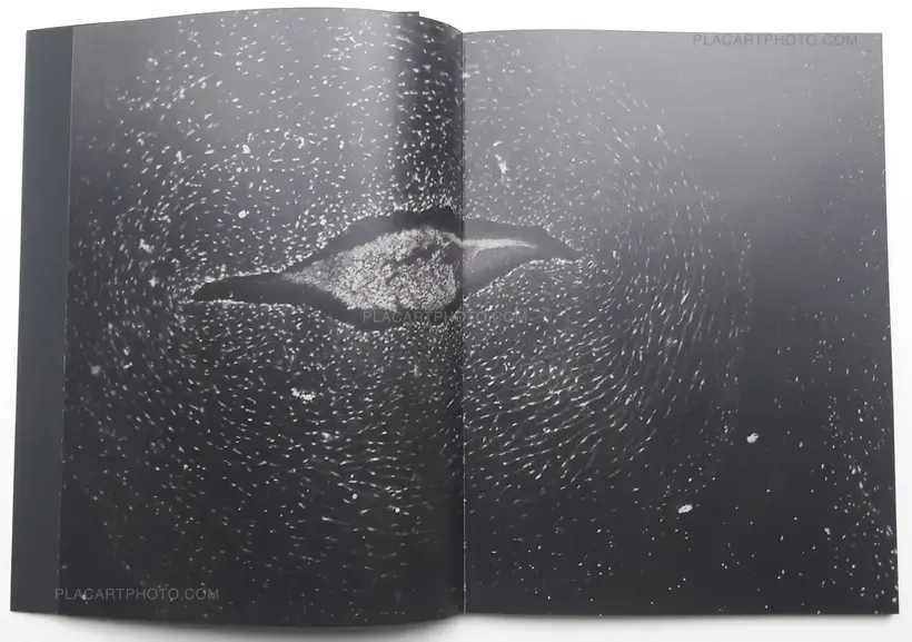 La Trajectoire du Gyrovague (ONLY 250 COPIES - SIGNED)