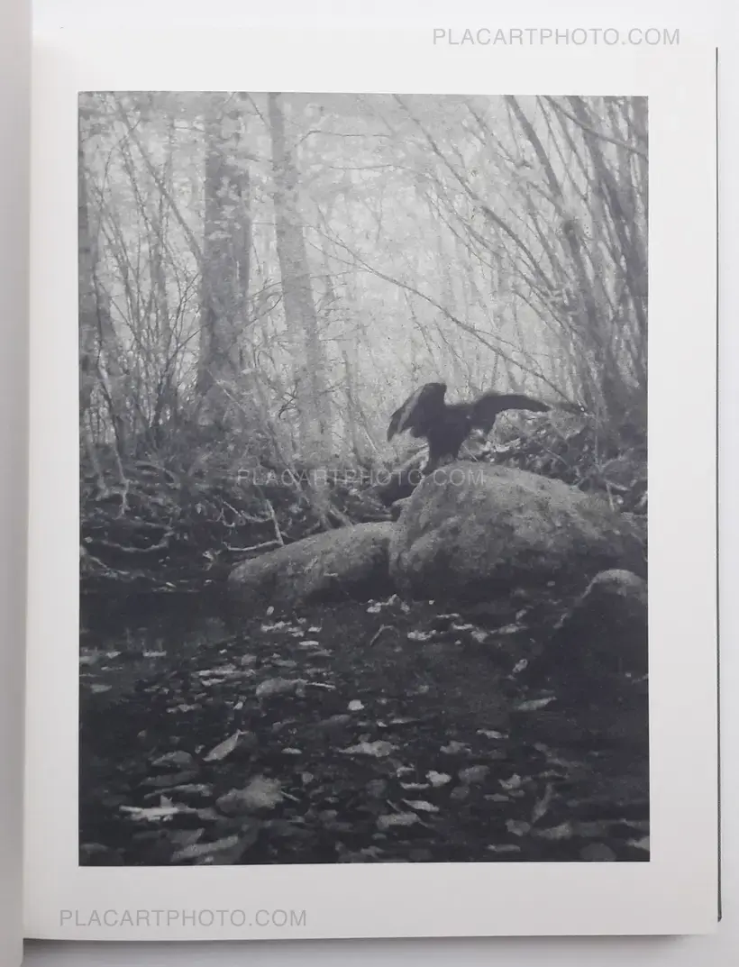 Night procession (SIGNED)