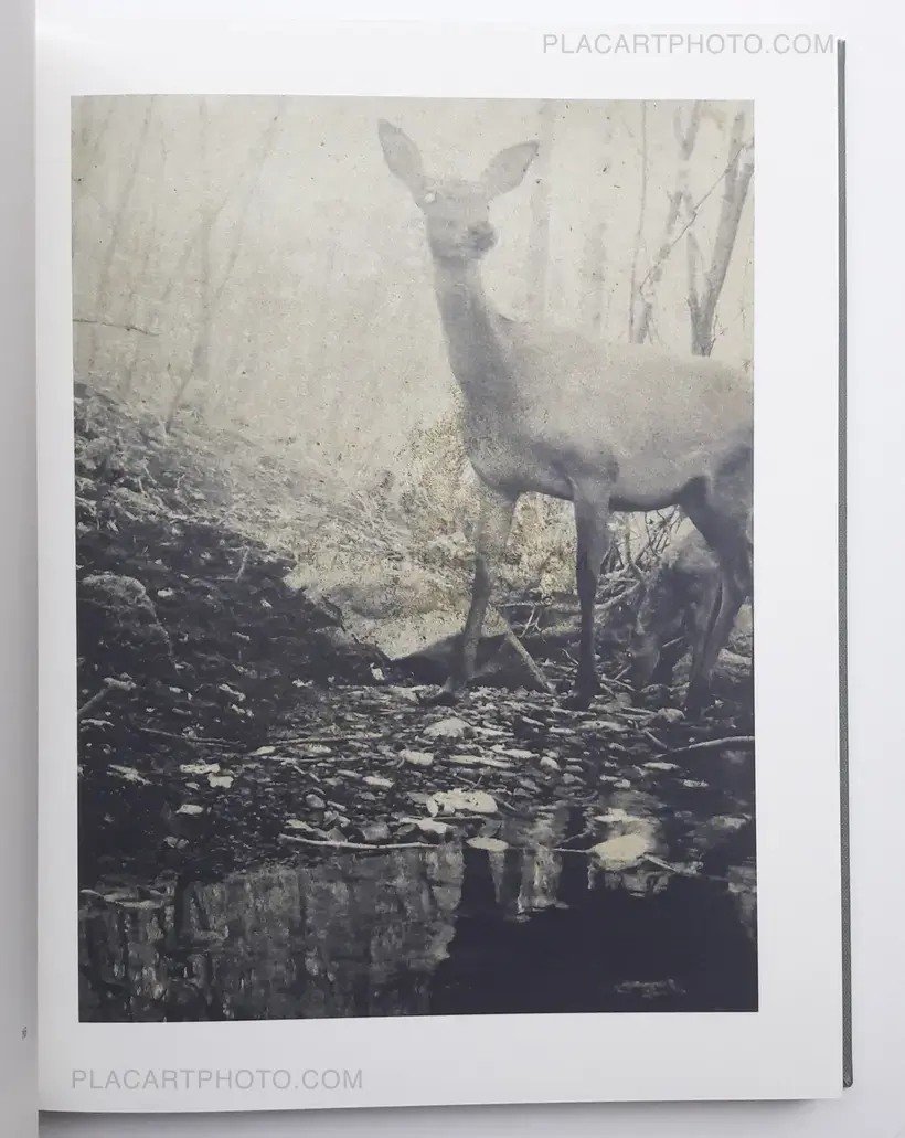 Night procession (SIGNED)