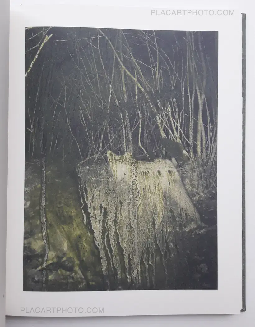 Night procession (SIGNED)