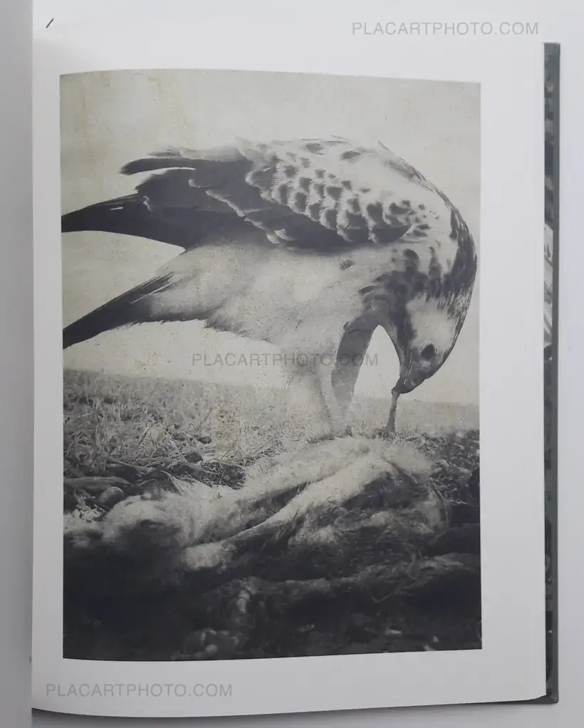 Night procession (SIGNED)