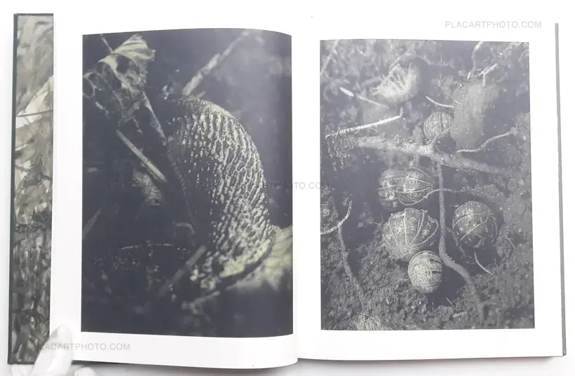 Night procession (SIGNED)