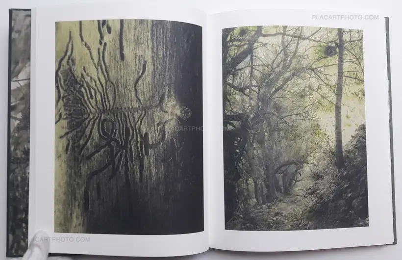 Night procession (SIGNED)