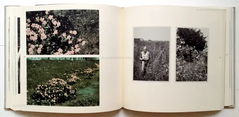 Nein, Onkel - Snapshots from another front 1938-1945