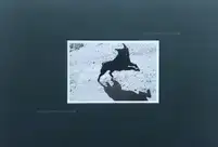 Pictures from moving cars