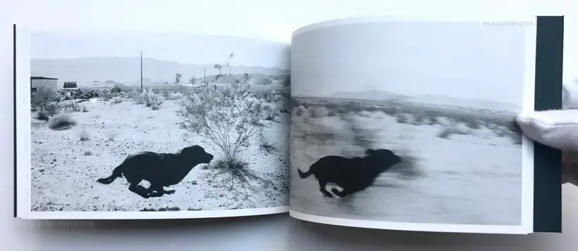 Pictures from moving cars