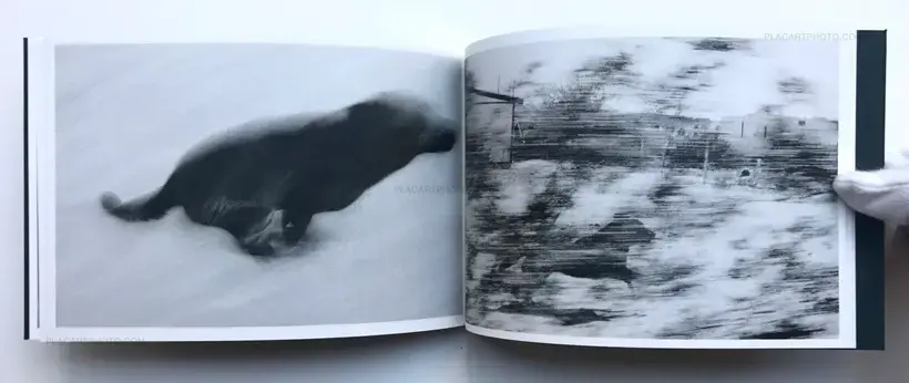 Pictures from moving cars