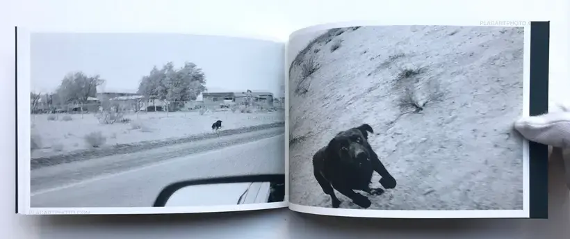 Pictures from moving cars