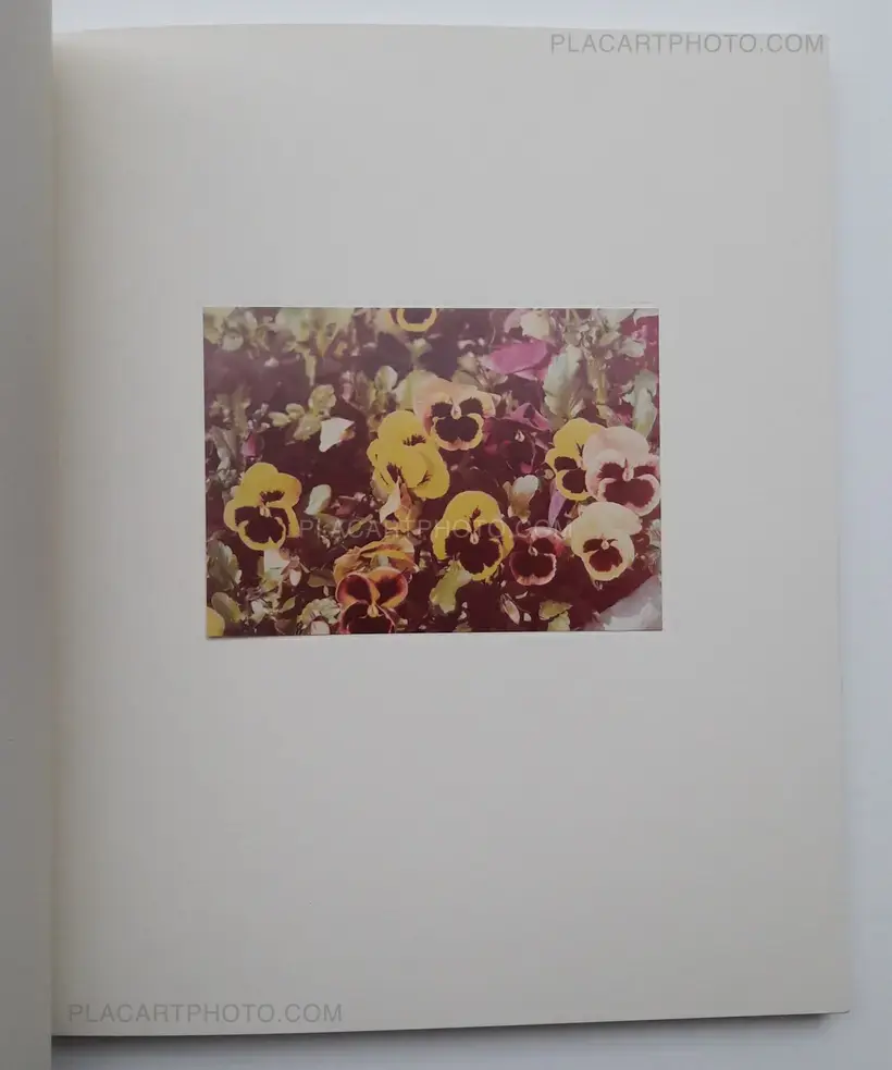 Luigi Ghirri