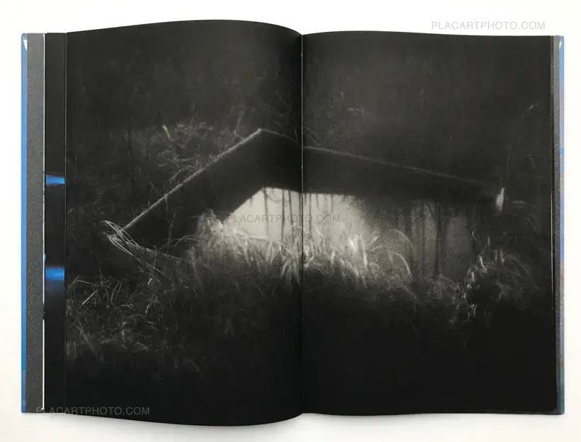 The Restoration Will (CEIBA EDT)