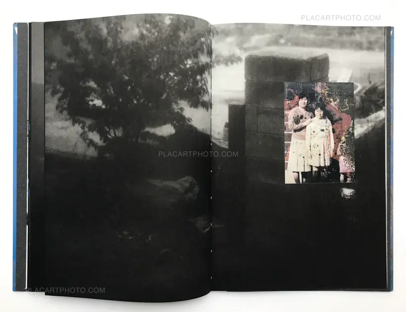 The Restoration Will (CEIBA EDT)