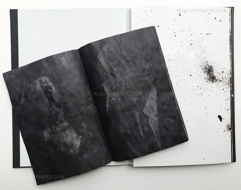 The Restoration Will (CEIBA EDT)