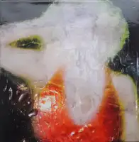 Selfpolaroids (SIGNED)