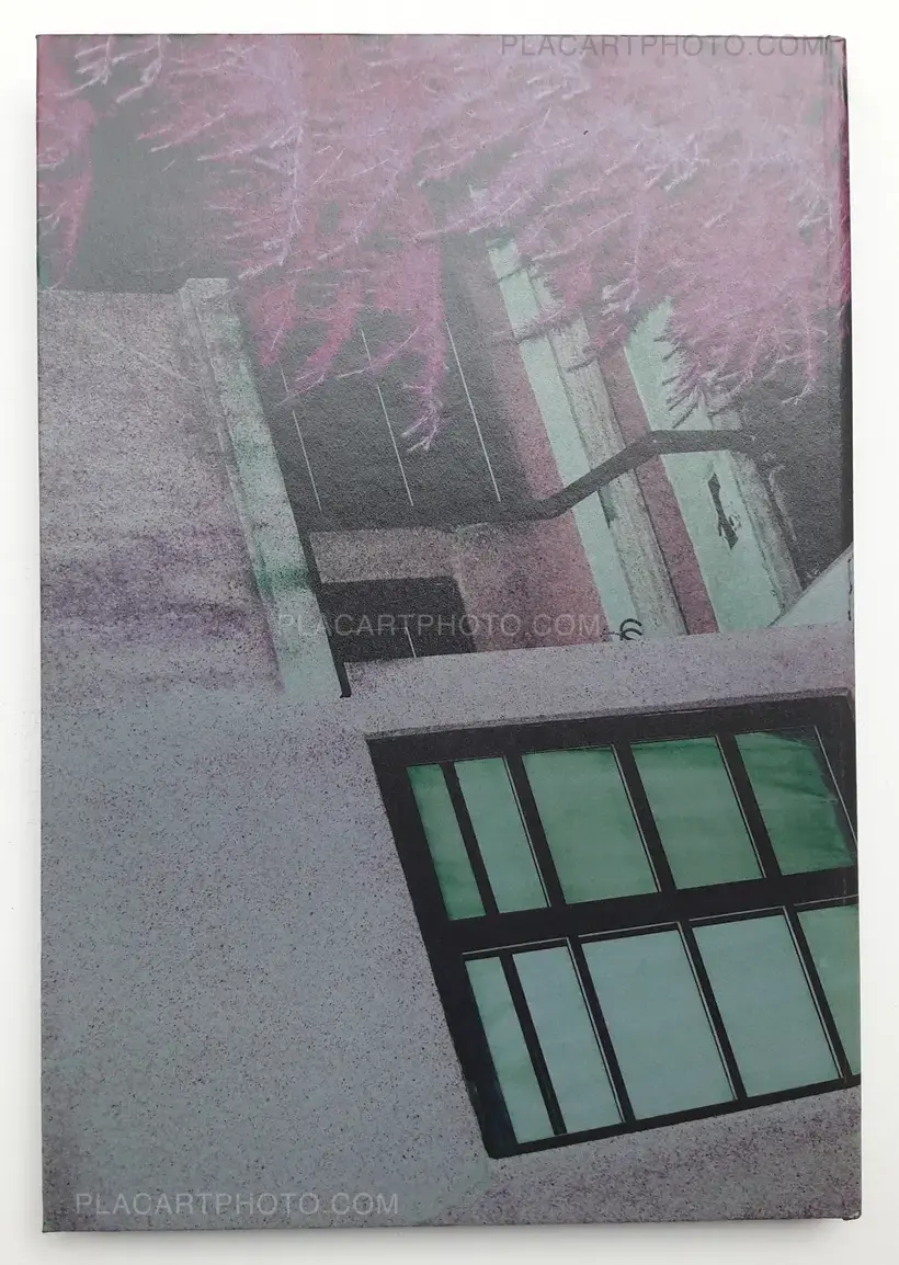 Into the light (ONLY 30 COPIES WITH A PRINT)