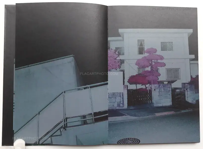 Into the light (ONLY 30 COPIES WITH A PRINT)