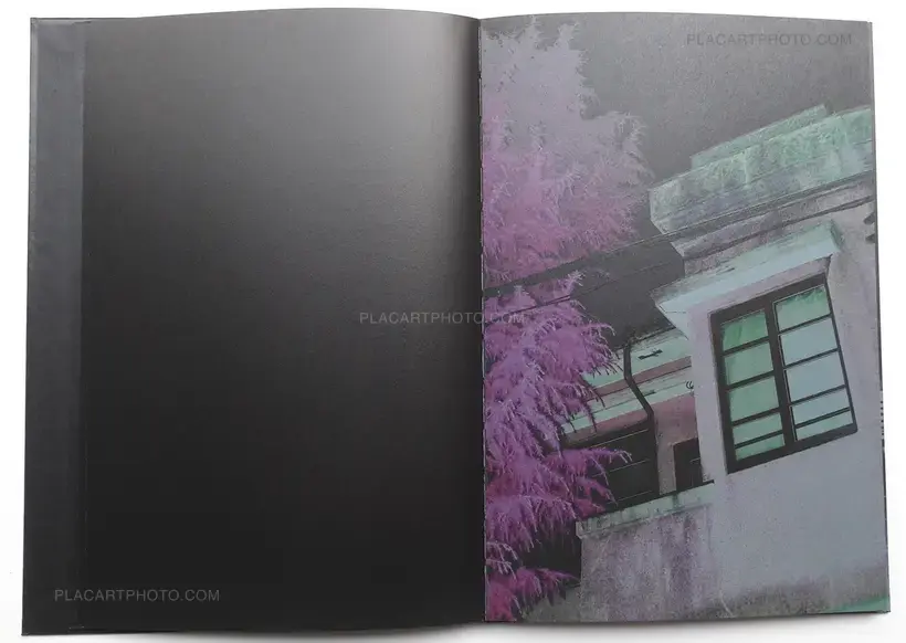 Into the light (ONLY 30 COPIES WITH A PRINT)