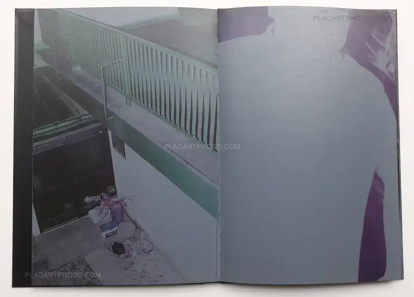 Into the light (ONLY 30 COPIES WITH A PRINT)