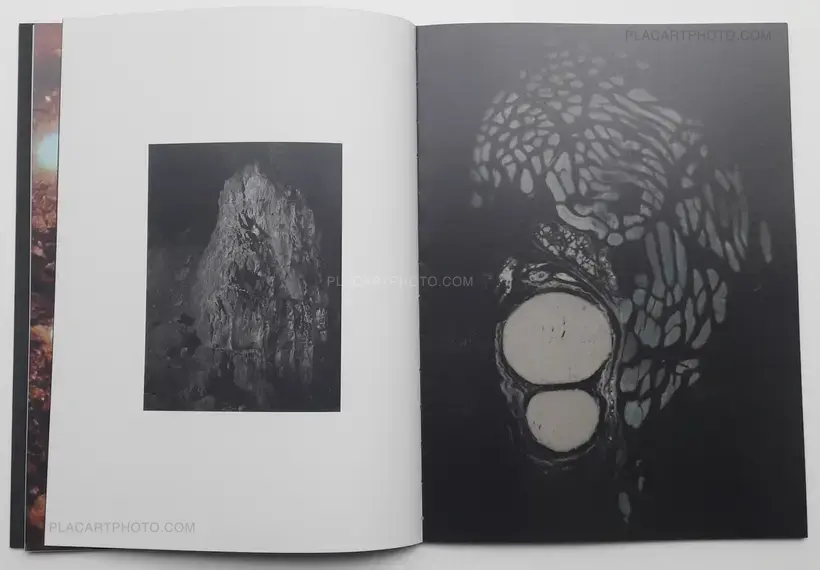 La Trajectoire du Gyrovague (ONLY 70 COPIES WITH A PRINT)