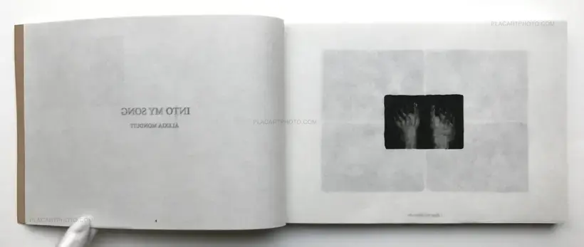 Into my song (ONLY 30 COPIES WITH A PRINT)