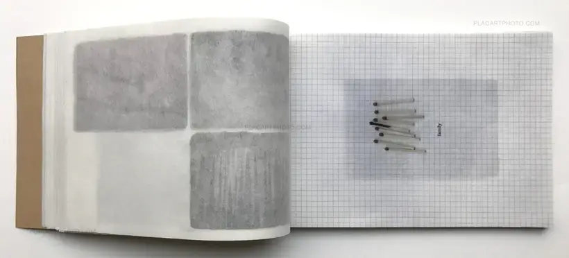 Into my song (ONLY 30 COPIES WITH A PRINT)