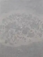 The Core (ONLY 100 COPIES)