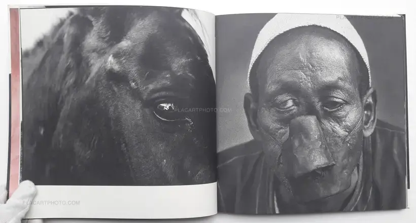 The Wretched skin (DEDICATED)