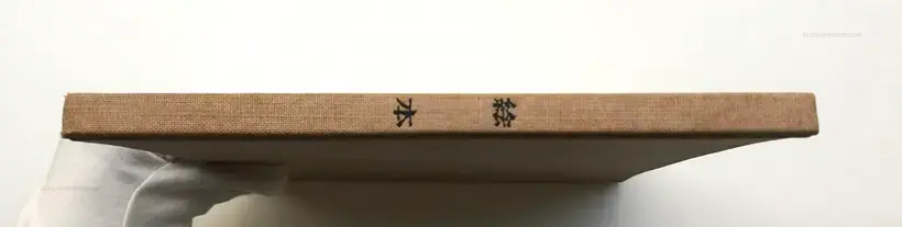 E-HON (picture book) SIGNED