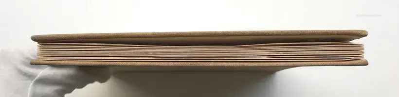 E-HON (picture book) SIGNED