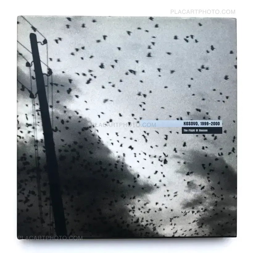 Kosovo, 1999-2000 : The flight of reason