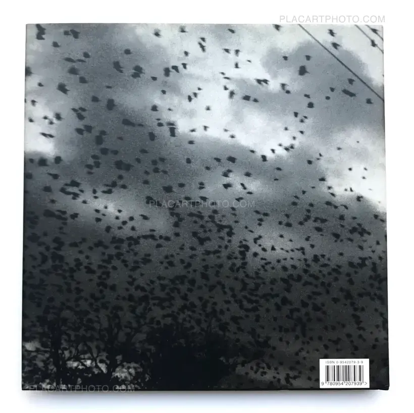 Kosovo, 1999-2000 : The flight of reason