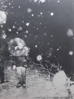 North East South West (LTD & SIGNED)