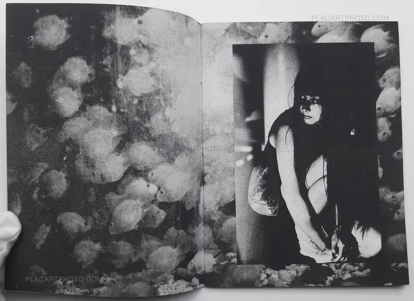 North East South West (LTD & SIGNED)